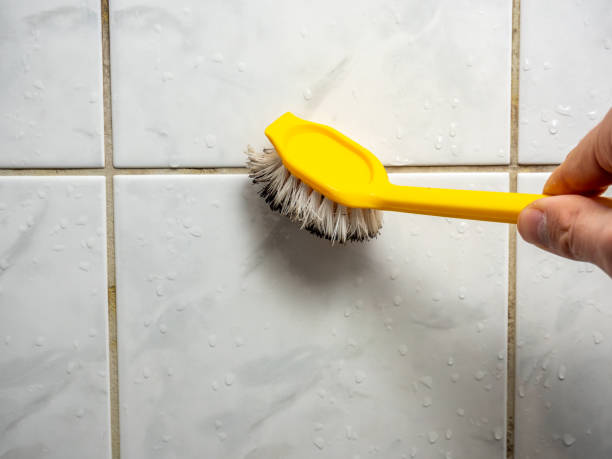 Best Emergency Mold Removal  in Stanleytown, VA