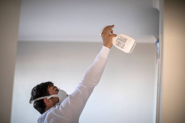 Best Crawl Space Mold Removal  in Stanleytown, VA