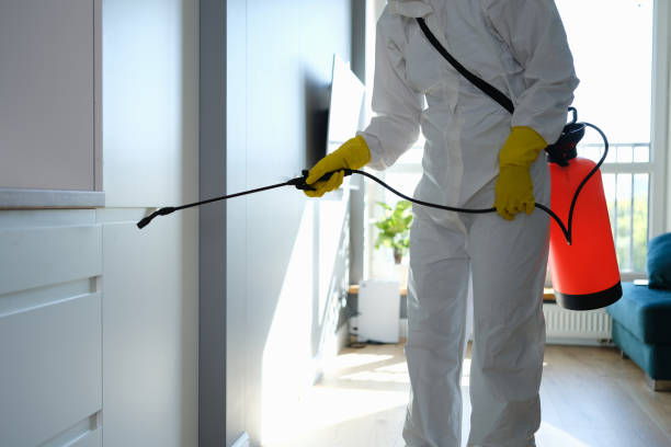 Crawl Space Mold Removal in Stanleytown, VA