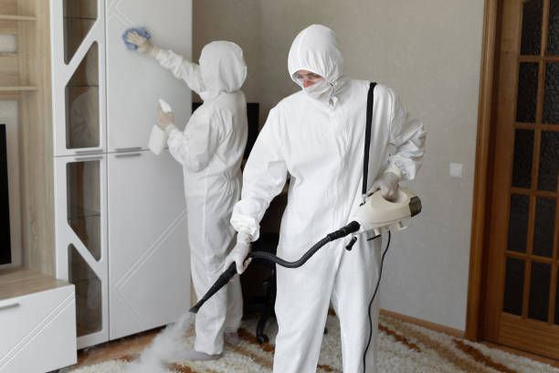 Mold Removal Process in Stanleytown, VA