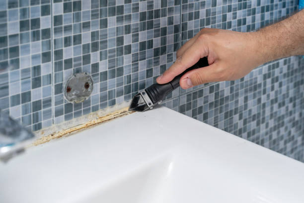 Best Mold Damage Repair  in Stanleytown, VA