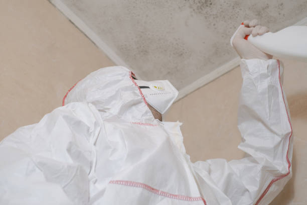 Best Crawl Space Mold Removal  in Stanleytown, VA