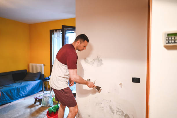 Best Attic Mold Removal  in Stanleytown, VA