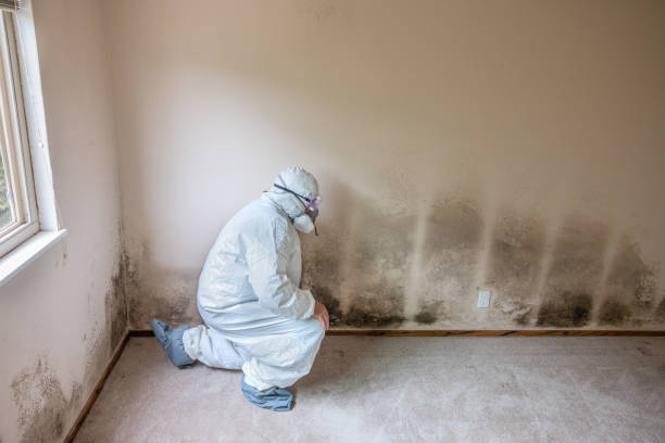 Stanleytown, VA Mold Removal Company